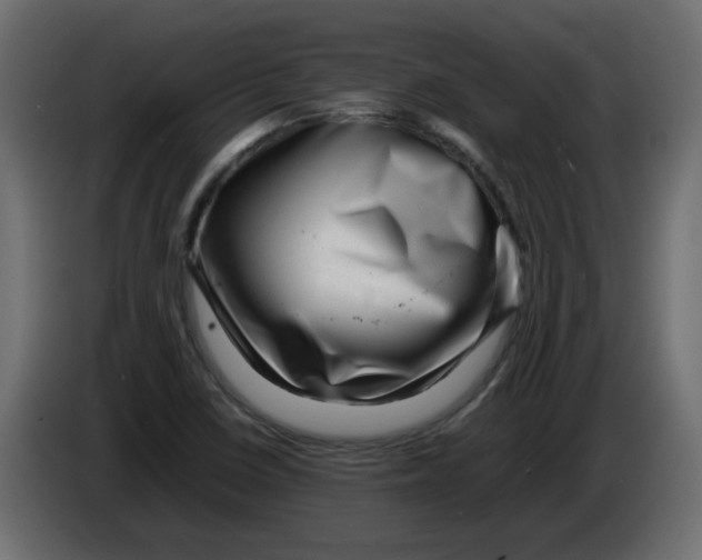 X0000082971410200703020224