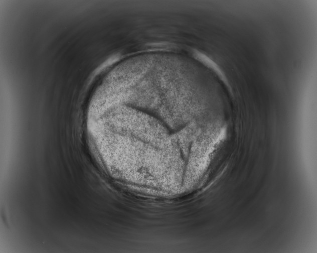 X0000082971411200703020224