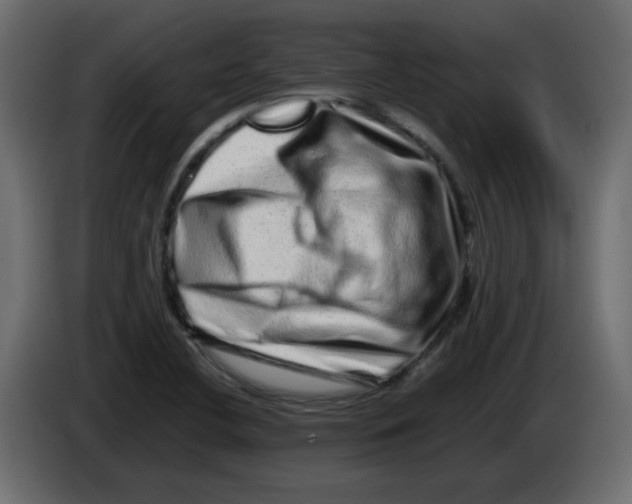 X0000082971412200703020224