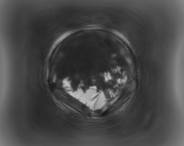 X0000082971413200703020224