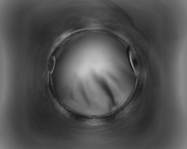 X0000082971414200703020224