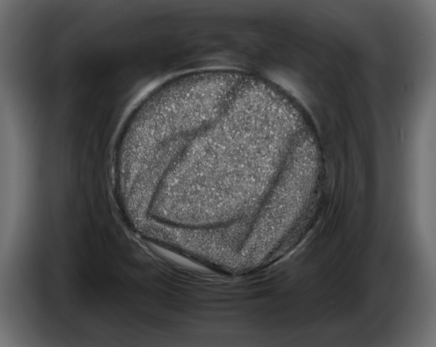 X0000082971415200703020224