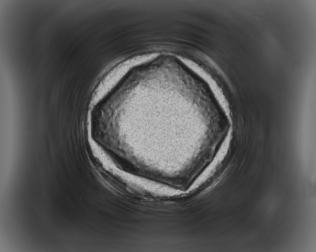 X0000082971417200703020224