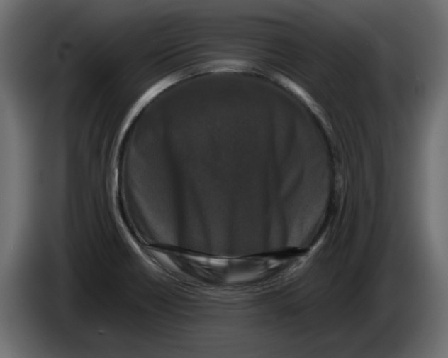 X0000082971418200703020224