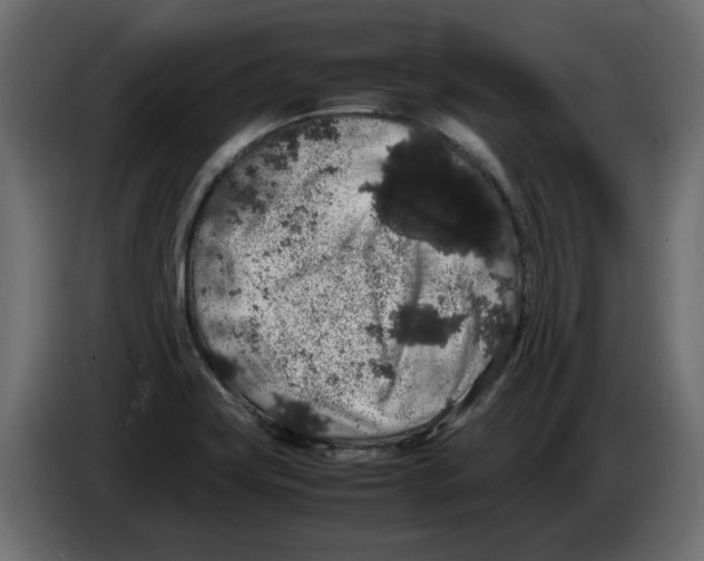 X0000082971419200703020224