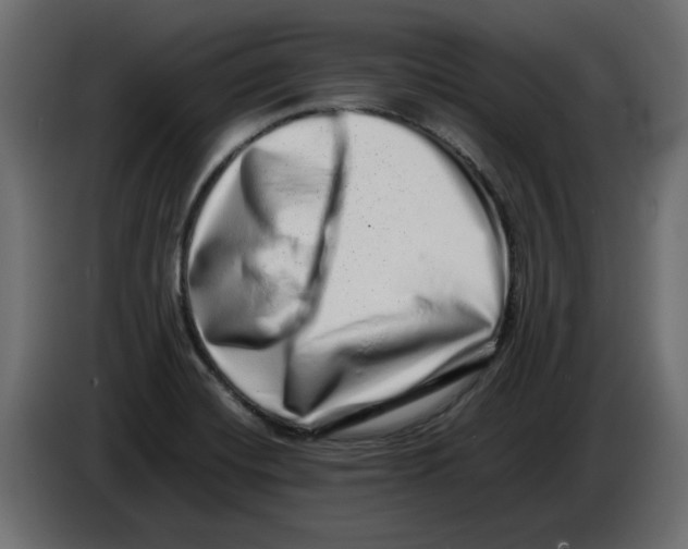 X0000082971420200703020224