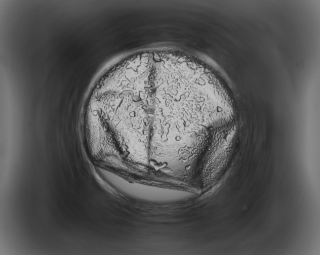 X0000082971421200703020224