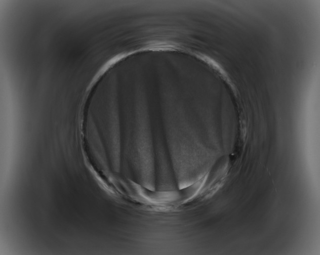 X0000082971422200703020224