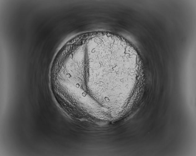 X0000082971423200703020224