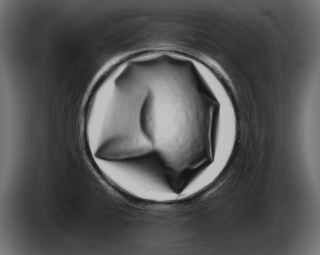 X0000082971424200703020224