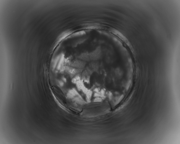 X0000082971425200703020224