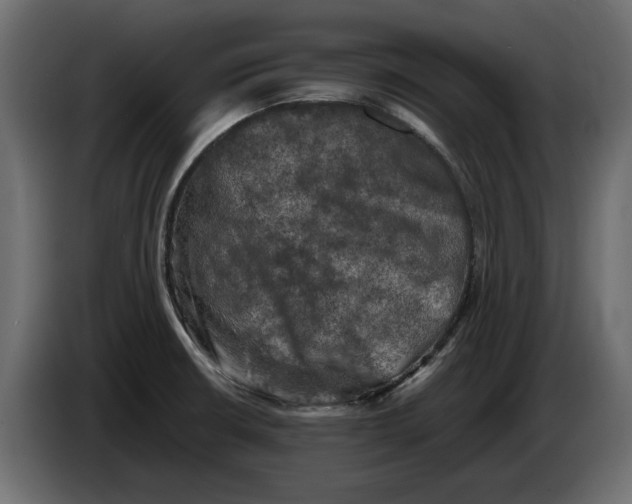 X0000082971426200703020224