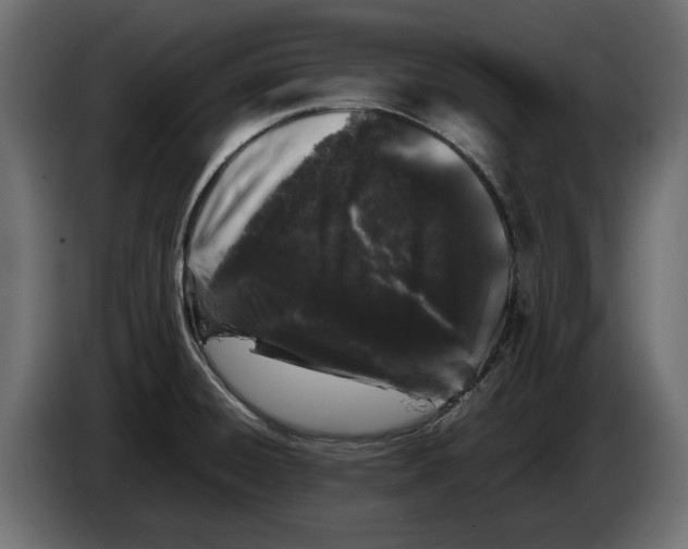 X0000082971428200703020224