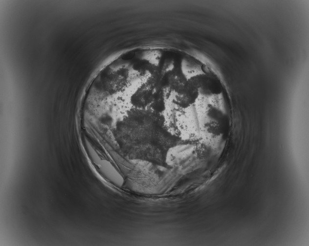 X0000082971429200703020224