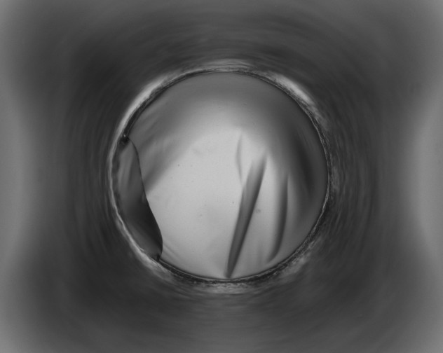 X0000082971430200703020224