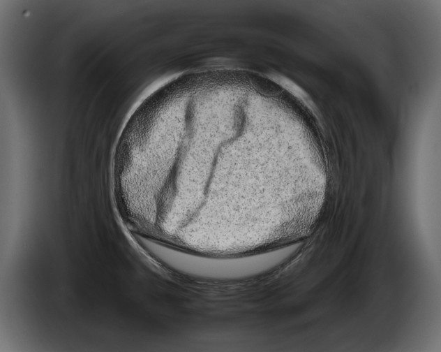 X0000082971431200703020224