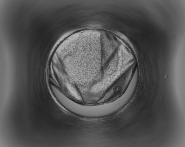 X0000082971432200703020224