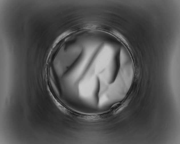 X0000082971434200703020224