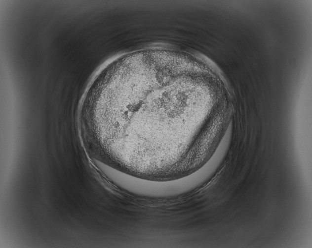 X0000082971435200703020225