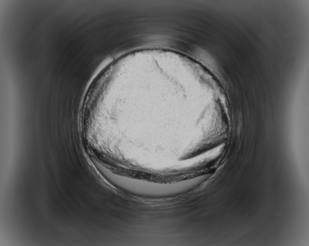 X0000082971436200703020225