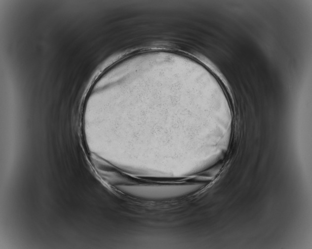 X0000082971437200703020225