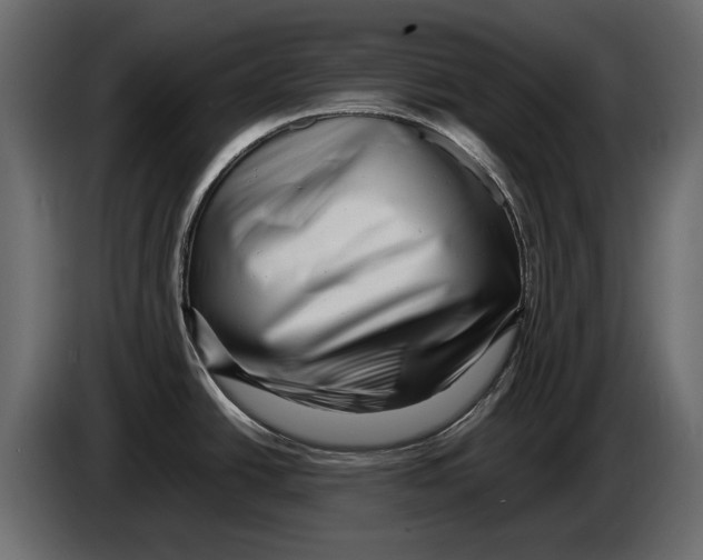 X0000082971438200703020225