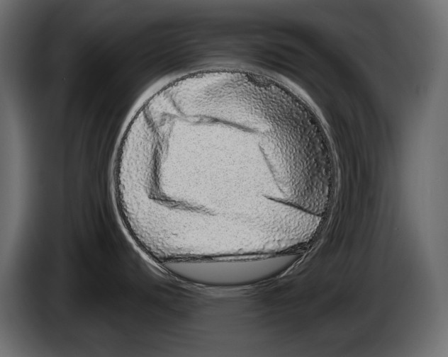 X0000082971440200703020225