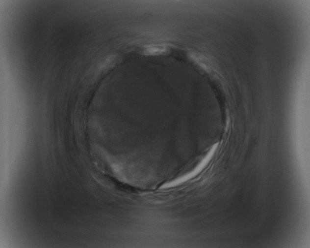 X0000082971441200703020224