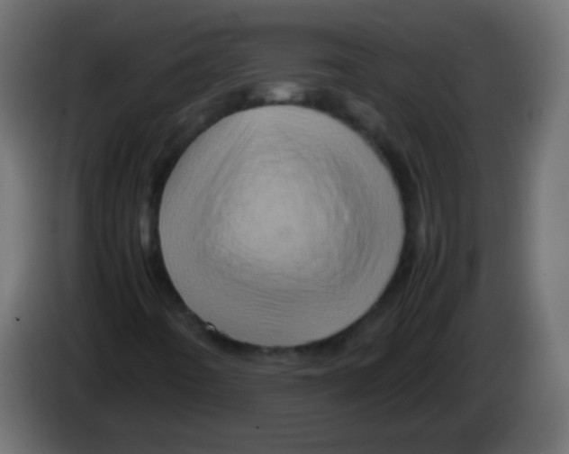 X0000082971442200703020224