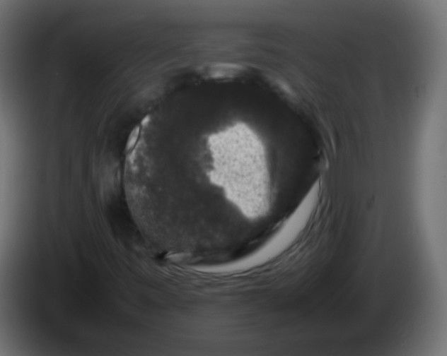 X0000082971443200703020224