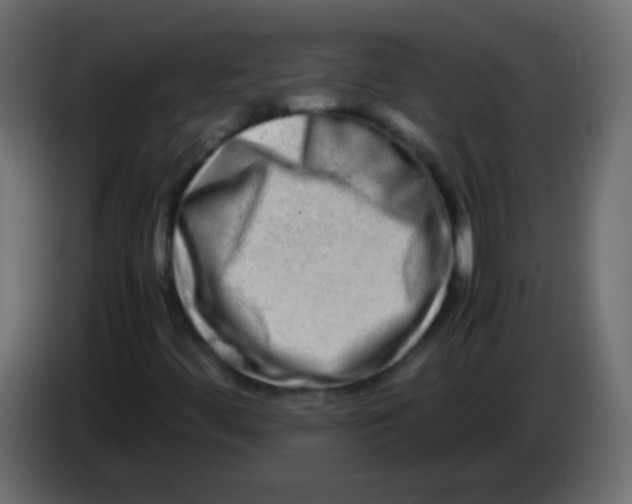 X0000082971444200703020224