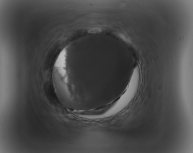 X0000082971445200703020224