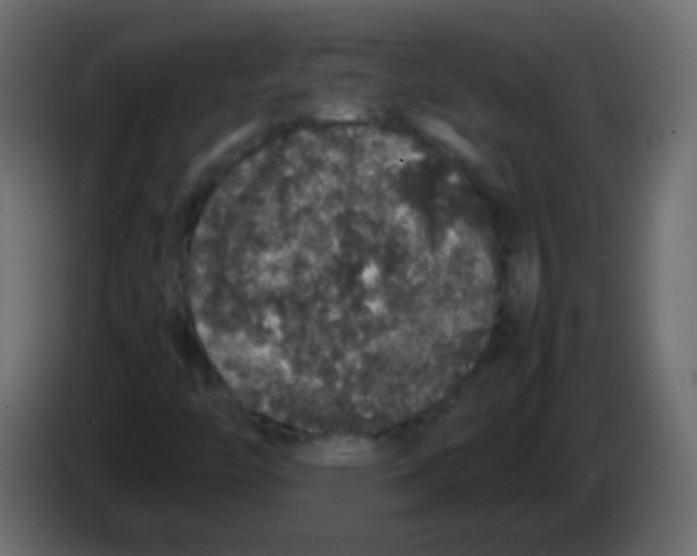 X0000082971446200703020224