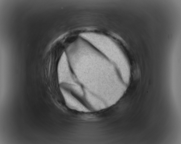 X0000082971448200703020224