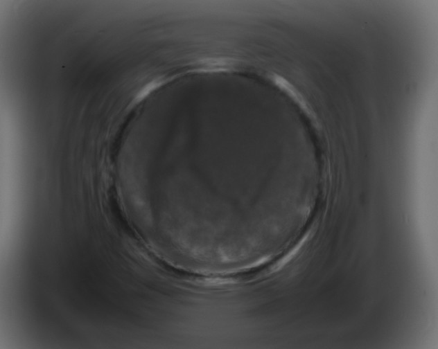 X0000082971449200703020224