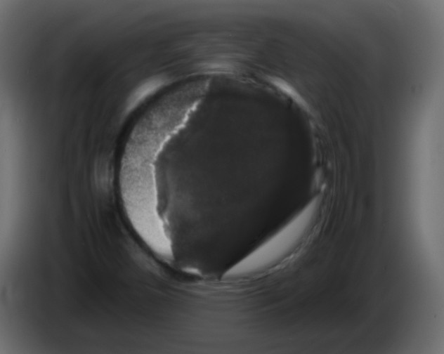 X0000082971450200703020224