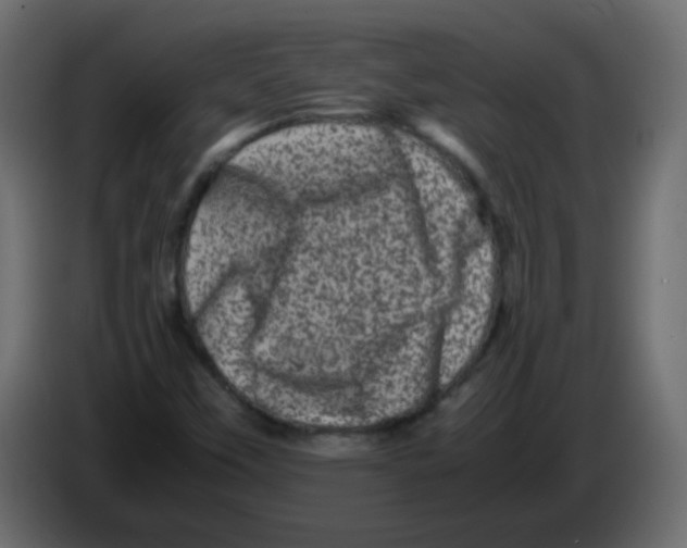 X0000082971451200703020224