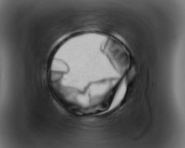 X0000082971452200703020224