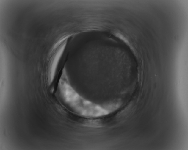 X0000082971453200703020224