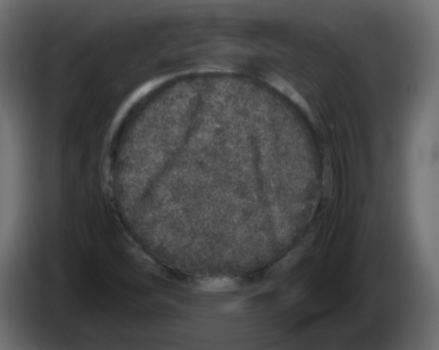 X0000082971454200703020224