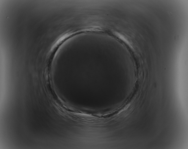 X0000082971455200703020224