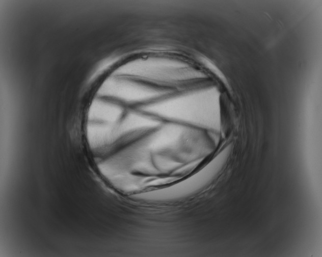 X0000082971456200703020224