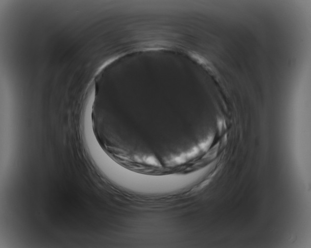 X0000082971457200703020224