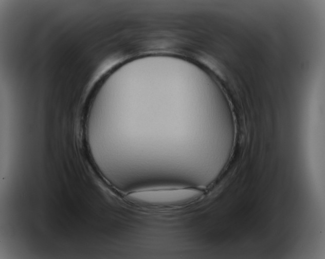 X0000082971458200703020224