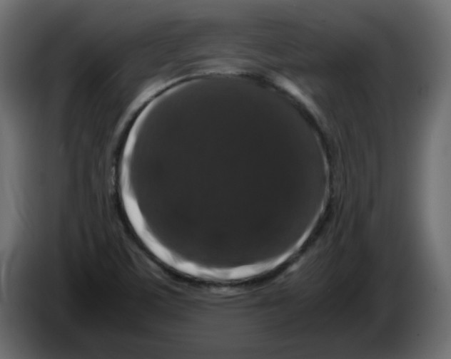 X0000082971459200703020224