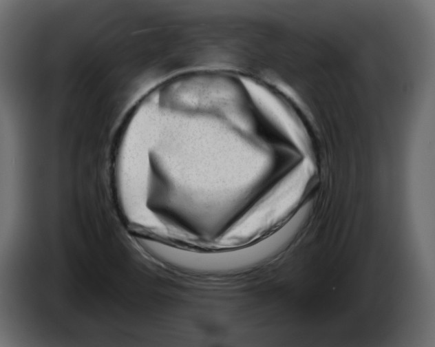 X0000082971460200703020224