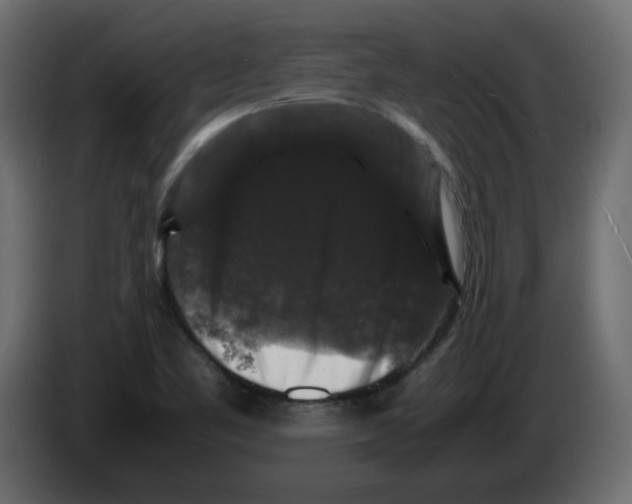 X0000082971461200703020224