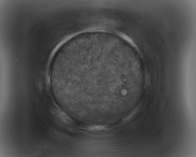 X0000082971462200703020224