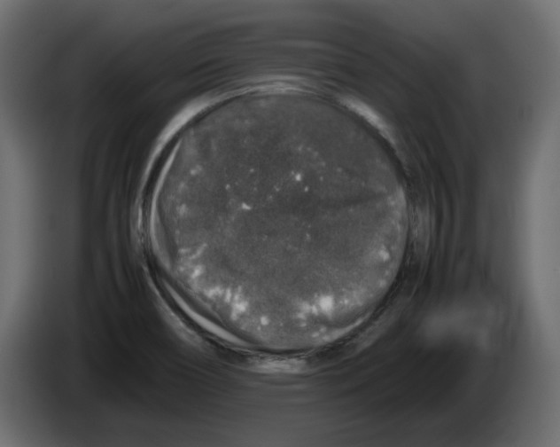 X0000082971466200703020224