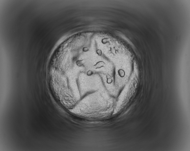 X0000082971467200703020224